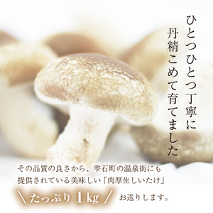 国産 岩手県産 肉厚 生しいたけ 1kg 【さくらだファーム】 椎茸 しいたけ シイタケ きのこ 茸 キノコ 野菜 やさい １ｋｇ 1キロ １キロ 出汁 だし ダシ 旨味 鍋 なべ 煮物 煮込み 七輪 焼き物 串焼き 素焼き ＢＢＱ BBQ 人気 おすすめ