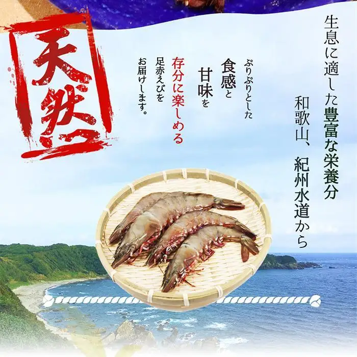 紀州和歌山産天然足赤えび540g×2箱（270g×4パック）　化粧箱入［2026年12月上旬頃から2027年2月上旬頃に順次発送］［UT24］