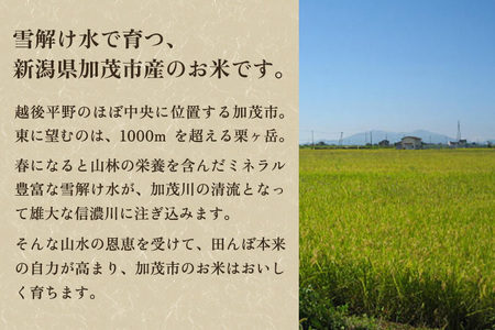 【令和8年産新米先行予約】新潟県 加茂市産コシヒカリ 精米3kg《10月上旬～順次出荷》 （株）ライスグローワーズ