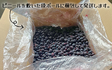 北海道産 たっぷり使える 冷凍ブルーベリー 5kg 加工用 大容量 無農薬栽培 南幌町 NP1-345