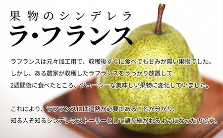【2026年度先行予約】山形県産 訳あり ラ・フランス 5kg なし ナシ 梨 デザート フルーツ 果物 くだもの 果実 食品 山形県 FSY-0725