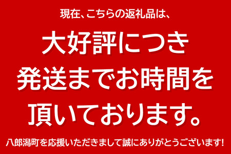 和菓子 畠栄 の あんごま餅 14個 × 小8パック 計112個入 あんこ ごま お取り寄せ ご当地おやつ スイーツ 和スイーツ お菓子 冷凍 畠栄菓子舗