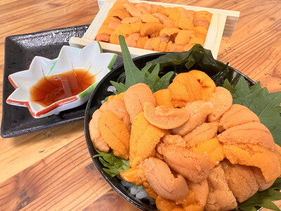 エゾバフンウニ 50g×2折 100g 冷凍 北海道 オホーツク海 網走産 うに丼 海鮮丼 ※離島への配送不可 ※着日指定不可 ABAO067