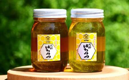 令和8年産・数量限定】国産 非加熱 純粋はちみつ 600g×2種類（アカシア