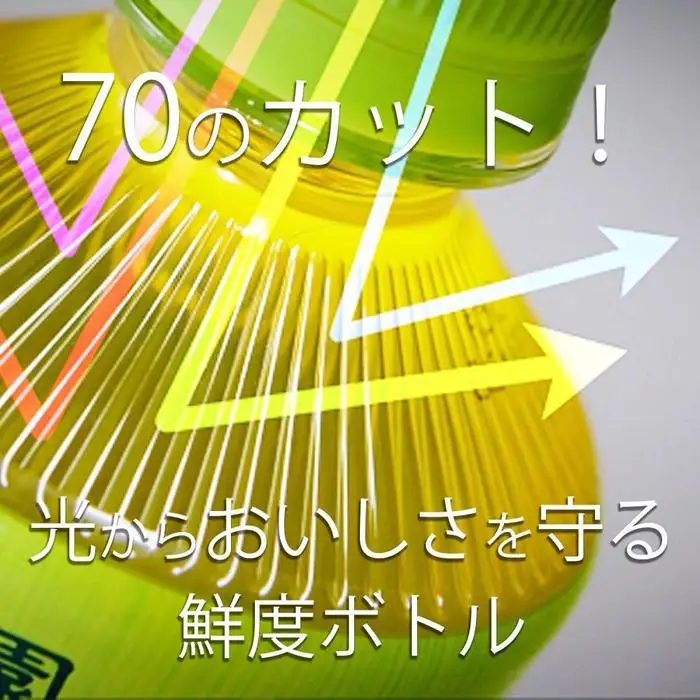 お～いお茶　緑茶　１L×２ケース（24本）