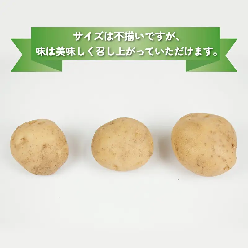 じゃがいも 男爵いも 約 5kg 宇和島市遊子産 NPO法人段畑を守ろう会 じゃがいも F012-051001