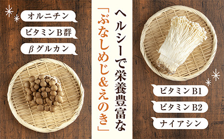 乾燥きのこ 2種セット（ぶなしめじ えのき）／国産 乾燥 ぶなしめじ 30g えのき 50g 各1袋 ぶなしめじ きのこ 無添加 国産 ドライ 出汁 時短 保存食 ギフト お取り寄せ はぴふる 新潟県 