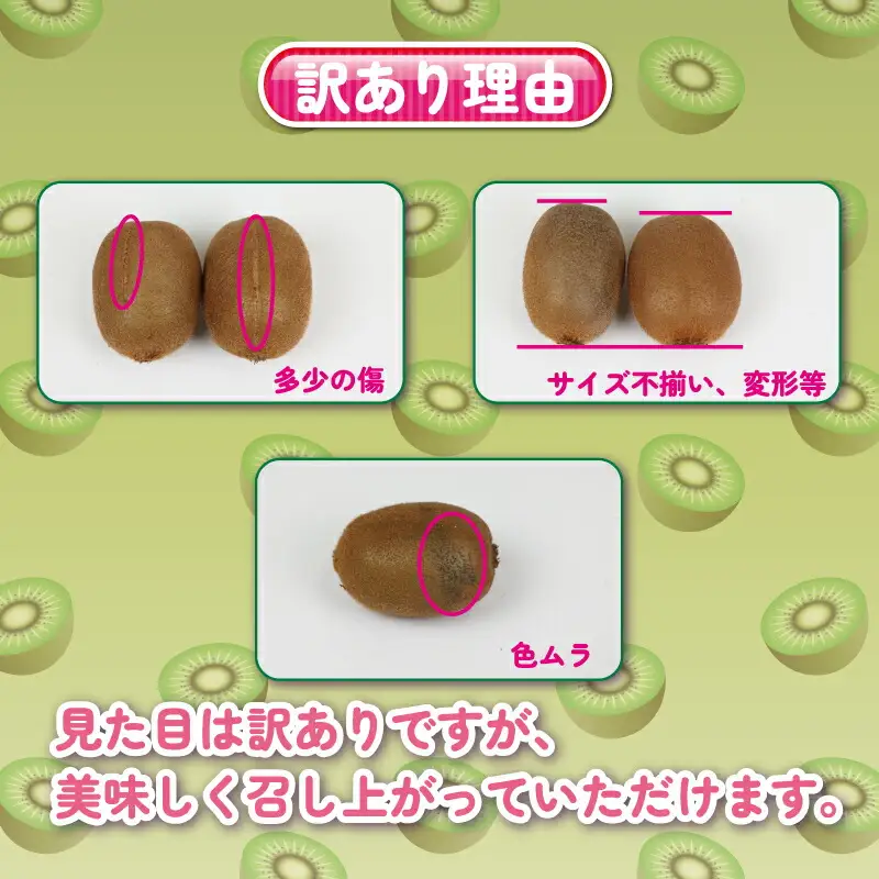 訳あり キウイ フルーツ 約4kg 杉本屋 【 訳あり キウイ 】F012-143002