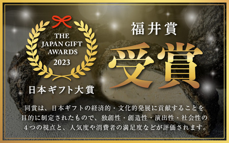 【化粧箱】崖淵シュークリーム チョコ カスタード キャラメル 各2個 計6個 ～東尋坊ご当地スイーツ！～ [A-21014]