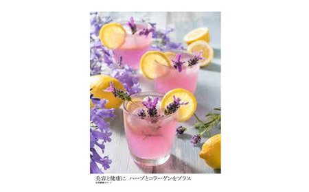 赤いハーブと乳酸菌［No.307］