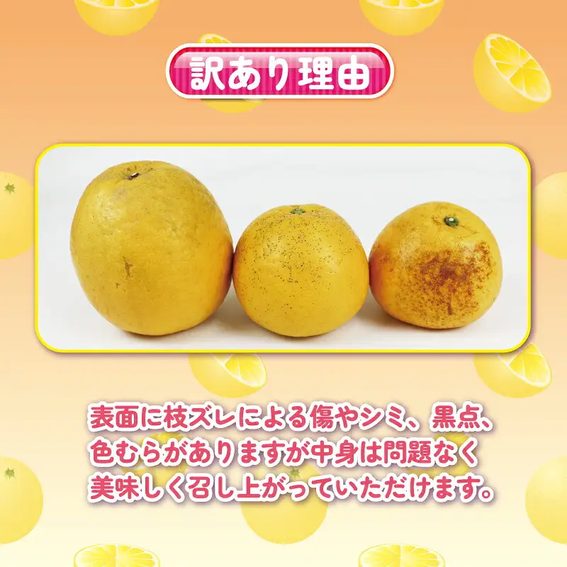 初夏の柑橘 訳あり 河内晩柑 みかん 10kg 杉本屋 柑橘 B010-143001