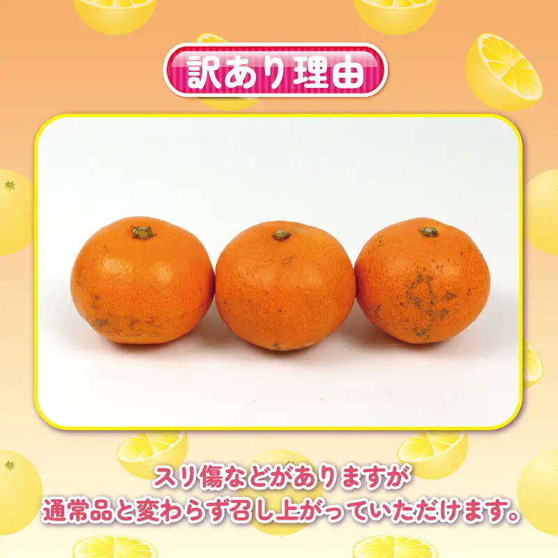 【ご家庭用】完熟プチみかん約5kg杉本屋 | みかん B010-143003