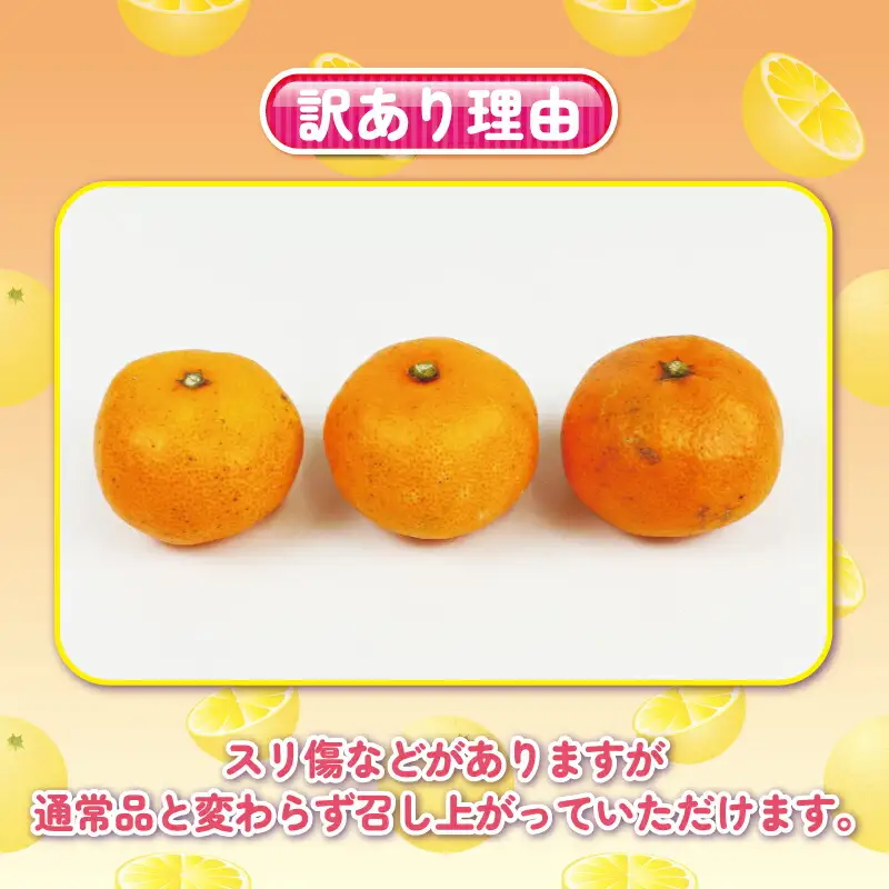 【みかん】訳あり完熟早生5kg杉本屋みかん|B010-143004