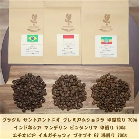 自家焙煎スペシャルティコーヒー(豆)【焙煎度】3種飲み比べセット100g×3袋【1392608】