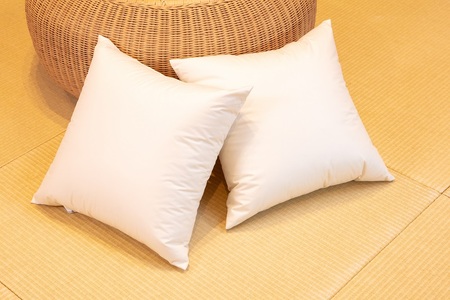 白州洗いの羽毛クッション　2個セット　ダウン50％ 50×50ｃｍ　740g クッション 羽毛 2個セット 50×50ｃｍ ダウン 50％ 740g ホテル仕様 日本製 白州洗いの羽毛クッション 新生活 [h126]