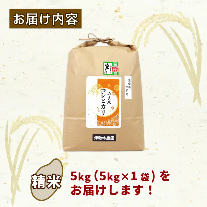 コシヒカリ 5kg 令和8年度産 伊勢本農園 コシヒカリ G015-146001