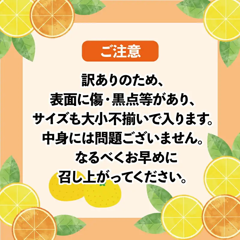 訳あり 甘夏 約 10kg マル南フルーツ 甘夏 B010-106026