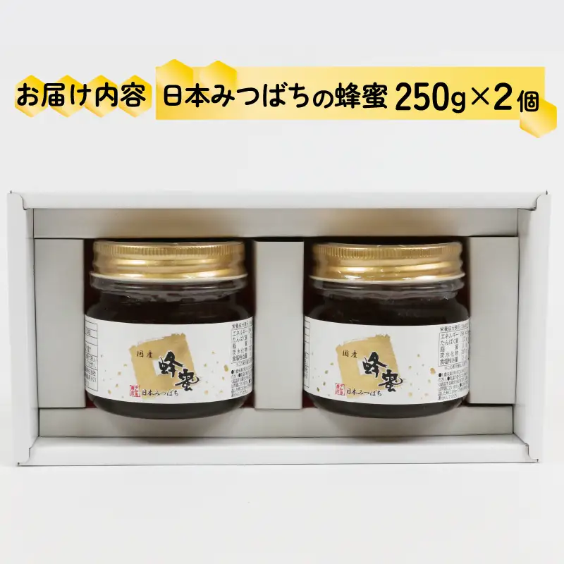 はちみつ 日本みつばちの蜜 2個 宇和島農産 国産 はちみつ│F020-132002