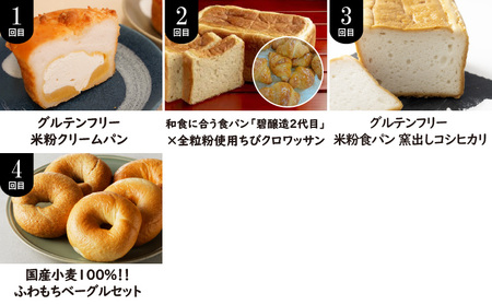 碧南市がチョイスした厳選定期便！ 【全4回】人気のパン食べ比べ 定期便  H028-092