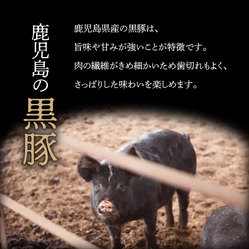 【 5営業日以内に発送 】 月揚庵 鹿児島 とんとん セット K003-004 肉 豚肉 惣菜 総菜 スピード配送 最短 すぐ届く お急ぎ
