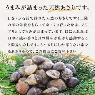 石巻・万石浦の活あさり(2kg) アサリ あさり 天然 貝 プリプリ おかず 味噌汁 砂抜き