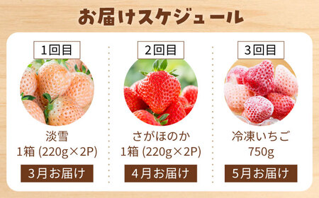 【先行予約 2027年3月〜発送】【3回定期便】赤白いちご食べ比べ！ いちご