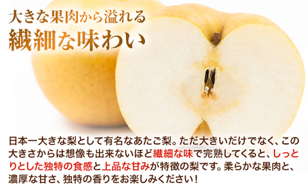 あたご梨 約4kg【配送不可地域あり】 梨
