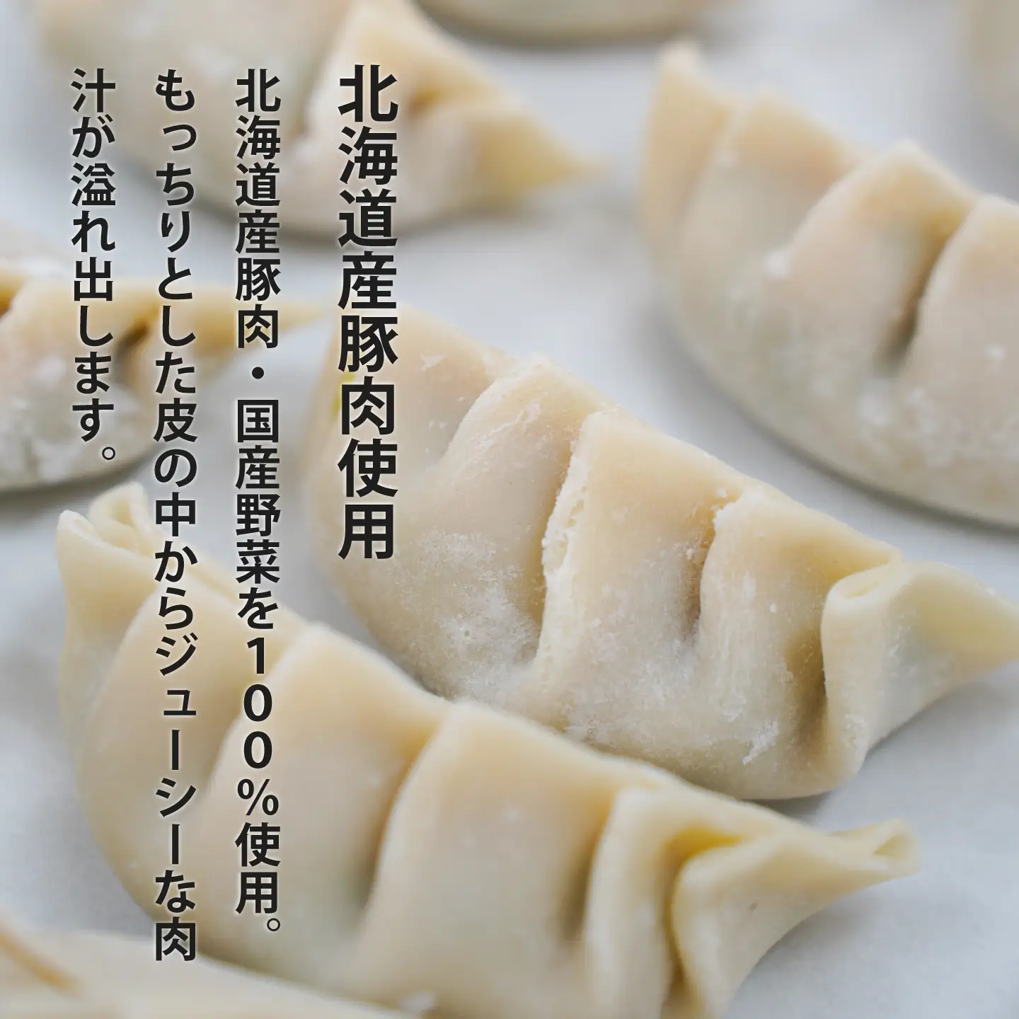 大きめ居酒屋餃子　600g　九州・沖縄配送不可【AN-001】