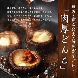 原木乾椎茸 特撰上どんこ 200ｇ F07031