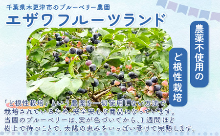 ＜栄養分豊富＞濃縮ブルーベリー100％飲料【アイキラリン】5本