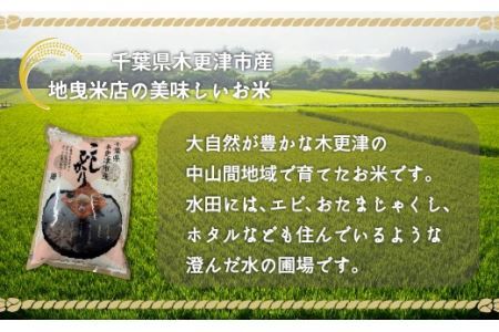 【令和6年産新米】千葉県木更津産こしひかり15kg（5kg×3）