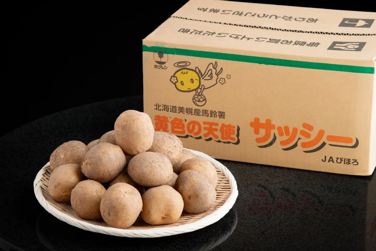 「数量限定訳あり品」じゃがいも「サッシー」Mサイズ・10kg AF059 | じゃがいも