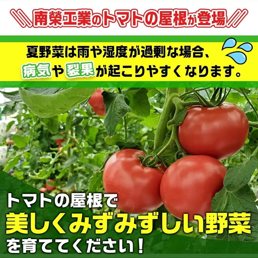トマトの屋根【0.9坪用】〈NT-27〉〔22-J403〕_(都城市) トマトの屋根 0.9坪用 雨除けハウス 組立式 組立説明書付 農業 菜園 夏物野菜