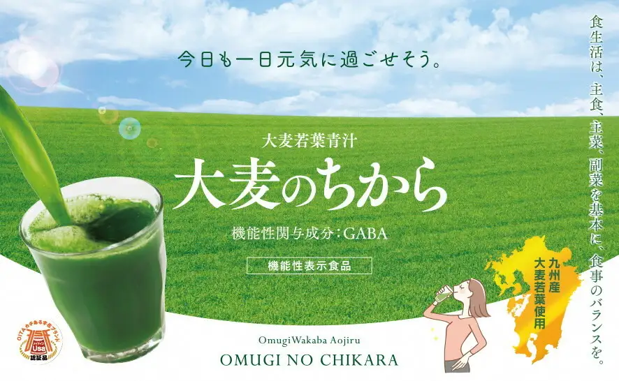 大麦若葉青汁 大麦のちから(計90g・3g×30袋)青汁 大麦若葉 GABA 飲料 粉末 常温【101601900】【江戸心本館USA　未来ファクトリー事業部】