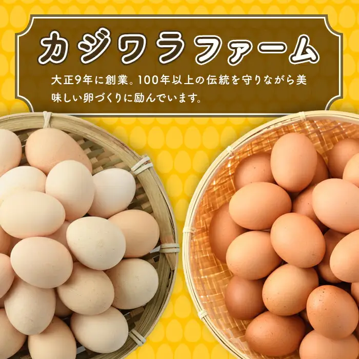 梶原たまご(計60個・10個×6P) 卵 玉子 鶏卵 卵かけご飯 玉子焼き【108800200】【カジワラファーム】