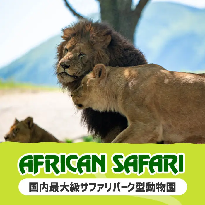 アフリカンサファリ入園券とオリジナルクリアファイルのセット(入園券(小人4枚)とクリアファイル)チケット 動物園 サファリパーク形動物園 家族旅行 デート 観光【110600800】【九州アフリカ・ライオン・サファリ】