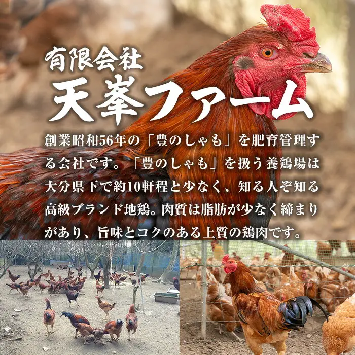 大分地鶏豊のしゃも地鶏出汁スパイスカレー(計900g・180g×5パック)レトルト 簡単調理 惣菜 時短 常温 ご当地カレー【112400301】【天峯ファーム】