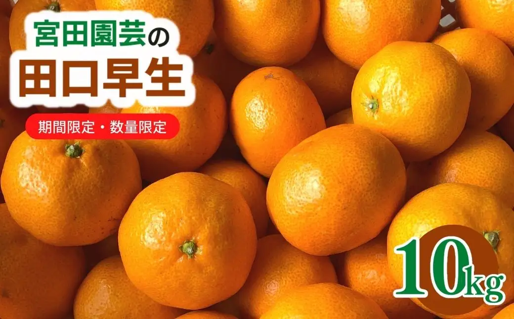 ＜先行予約受付中！2026年12月上旬以降順次発送予定＞田口早生(10kg)みかん 蜜柑 フルーツ 果物 くだもの 柑橘 期間限定【112300202】【宮田園芸】