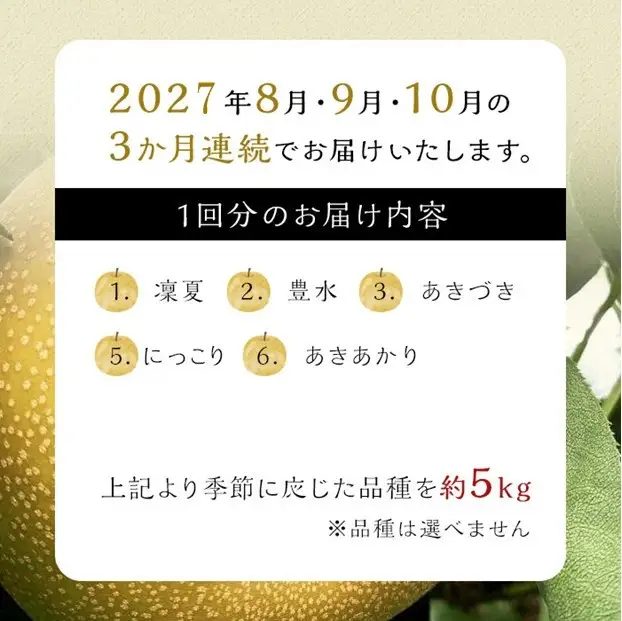【定期便 全3回／2027年8～10月発送】＜旬の梨おまかせ5kg・6-14玉＞×3回（自家製有機肥料・減農薬・化学肥料無使用）