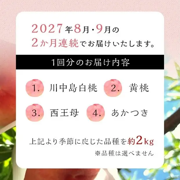 【定期便 全2回／2027年8・9月発送】＜旬の桃おまかせ約2kg・6～9玉＞×2回（自家製有機肥料・減農薬・化学肥料無使用）