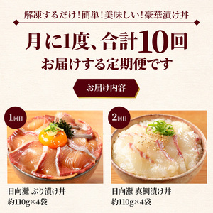 お魚の漬け丼バラエティ10回 定期便 海鮮 漬け丼 セット ぶり 真鯛 かんぱち まぐろ サーモン 流水解凍 海鮮丼 簡単 便利 小分け 個包装 刻み海苔 日向灘 九州 宮崎県 延岡市 冷凍 お取り寄せ N019-YG0190