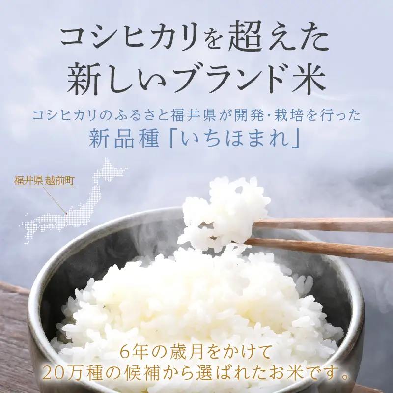 【令和7年産】いちほまれ 精米 5kg(5kg×1袋) 特A 福井県 ブランド米 白米 [e27-a043]
