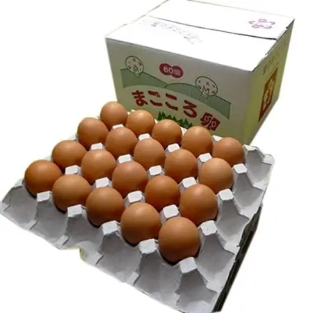 「地元ブランド」まごころ卵60個入り(卵50個と割れ保障10個)　鶏卵(生食用)_卵・乳製品 卵  たまご タマゴ 玉子_【配送不可地域：離島】【1008774】