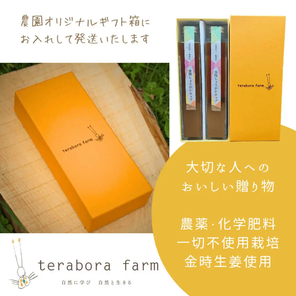 こだわり金時しょうがシロップ 200ml×2本 ギフトセット / 恵那市 / てらぼら農園 [AUDZ001]