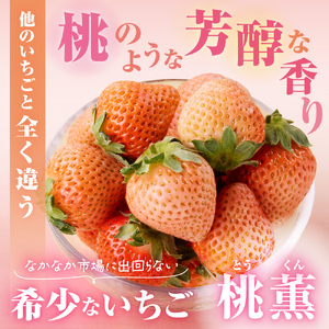 【先行予約】【2026年12月中旬より順次発送】福岡県産　桃薫　2パックセット【ナチュレッシュ・ファーム・ジェイピー】_HA1338