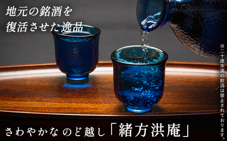 ＜復興支援酒「緒方洪庵(おがたこうあん)」第5弾 飲み比べセット 720ml×各6本(計12本)＞化粧箱付 日本酒 地酒 やや辛口 火入 生酒 贈答 三光正宗株式会社 一般社団法人NEOのむら 愛媛県 西予市【冷蔵】『1か月以内に順次出荷予定』NNN0001