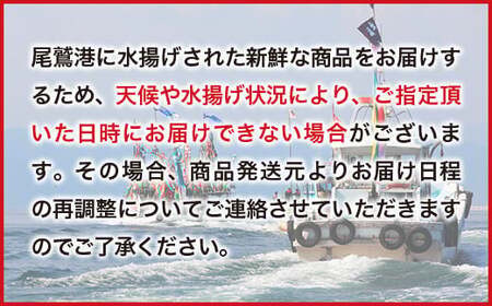 伊勢エビ・アワビセット（令和5年8月末までにお届け分）50セット限定　UO-55