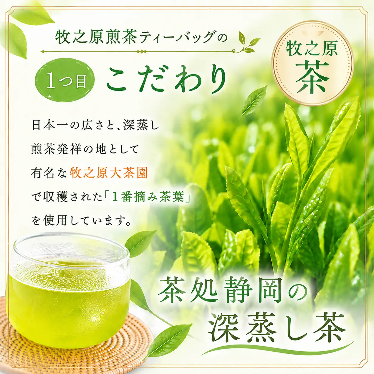 深蒸し茶ティーバッグ10袋セット 日本茶 静岡お茶 静岡緑茶 喜作園 静岡県 牧之原市