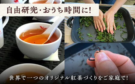 おうちで 紅茶 づくり 体験キット（Webショップで使えるクーポン付） 国産 ティー  [WBE010]