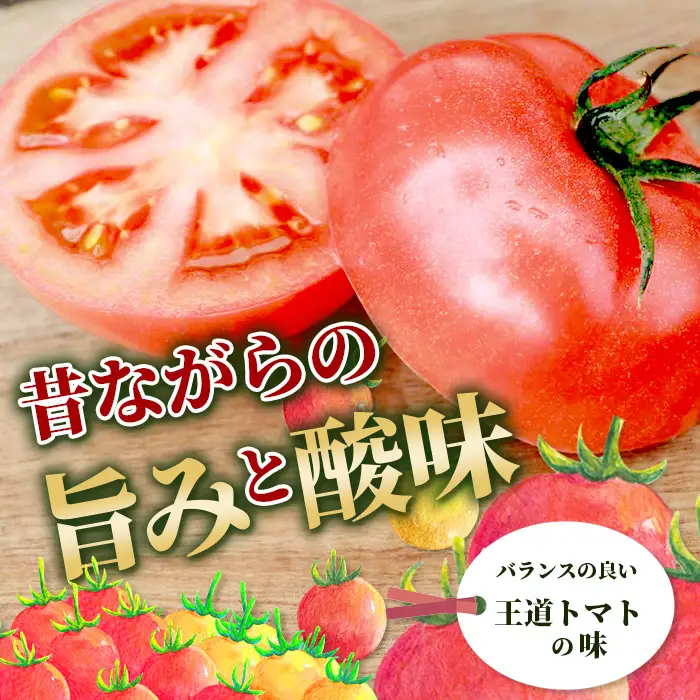 【7回定期便】【先行受付】2026年12月下旬より順次発送予定｜とりこになるトマト 3.5kg以上｜トマト 野菜 農家直送 ギフト 人気 佐賀県鹿島市 たにぐちファーム Ricotomato（リコトマト）～とりこになるトマト～  E-108